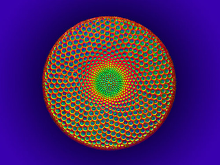 Illustration for article titled The year's strangest, most beautiful visions of the microverse